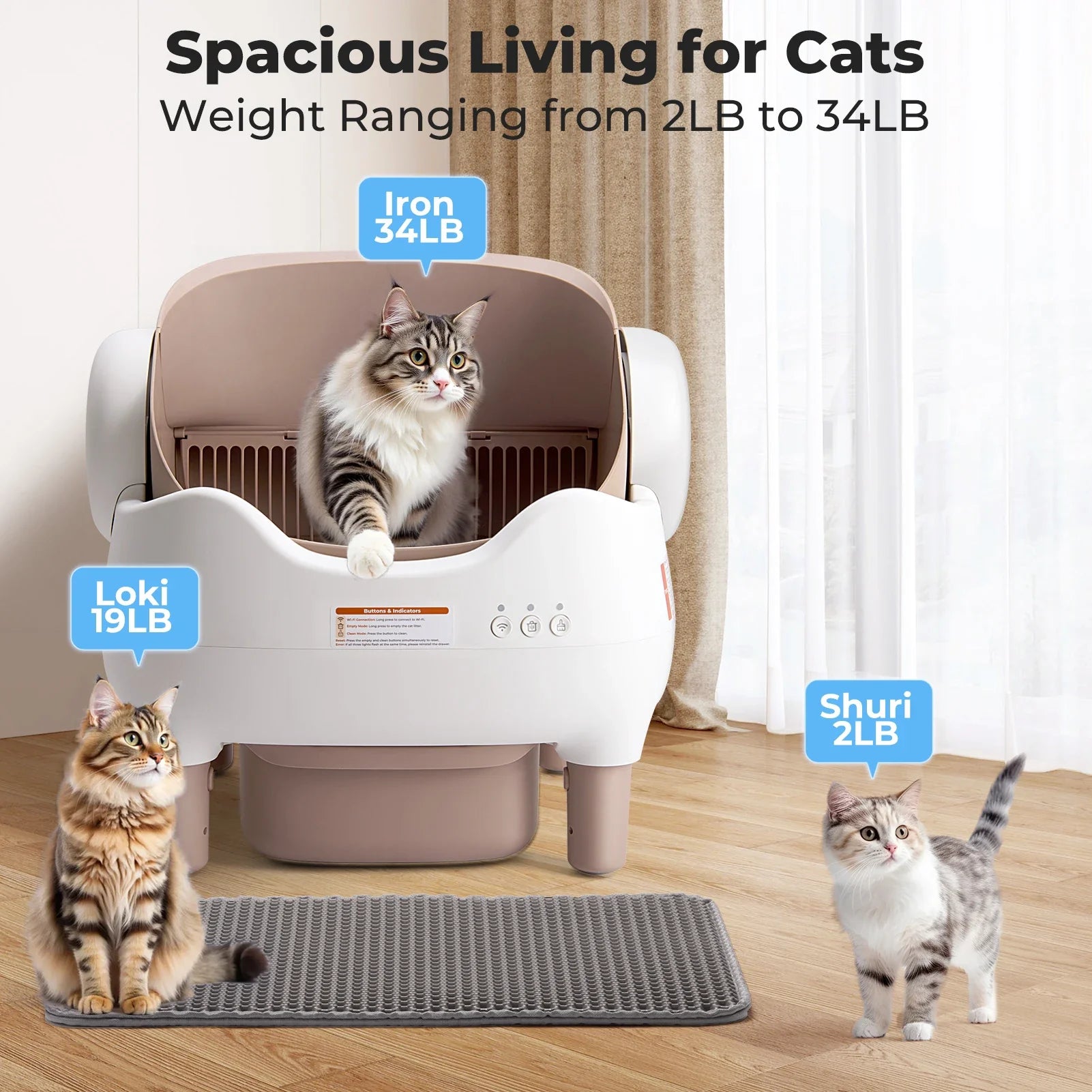 Self-Cleaning Cat Litter Box with App Control — Open-Top Auto Litter Box, 10L Odor-Free Waste Bin, Whisper-Quiet Smart Litter Box for Multi-Cat Homes